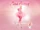 Pink Friday Fragrance photo shoot