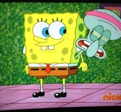 спанч боб 5. губка боб 5. стэнли с квадратные штаны. губка боб 5. губка боб 5.
