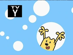 2005-2009 TV-Y Design