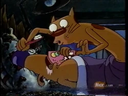 2001-01-06 1100am CatDog