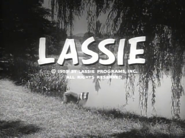 Lassie nickelodeon cheap