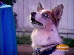 1999-12-31 2130pm 100 Deeds for Eddie McDowd