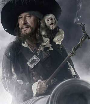 Capitaine-hector-barbossa