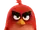 Red Bird