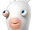Rabbid