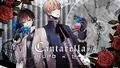 Kupo Zeno Cantarella 43032943