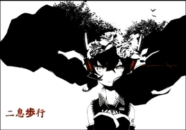 Nisoku hokou