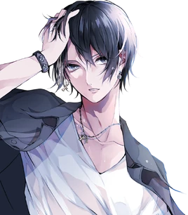 Rim mono palette. profile