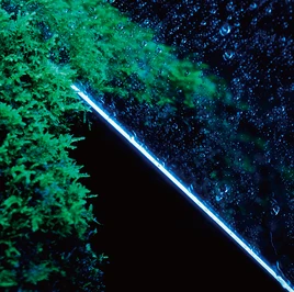 Bokuriri sub-objective