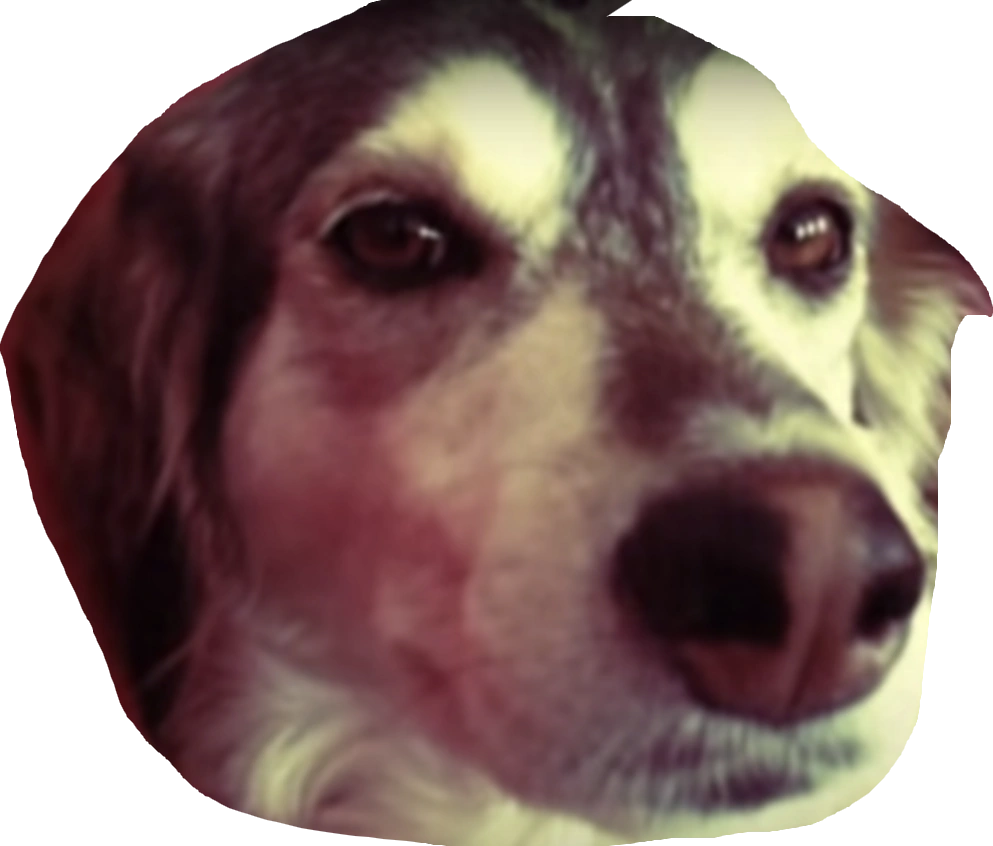 AutotuneDog Nico's Nextbots Fanmade Wiki Fandom