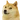 Doge