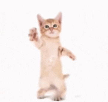 Dancing Chibi Cat Gif , Png Download - Hatsune Miku Cat Gif, Transparent  Png - vhv