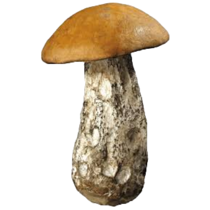 forest mushroom, Nico's Nextbots Fanmade Wiki