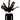Theanomalednew