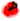 Yibiscreation!?!?