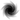 Black Hole