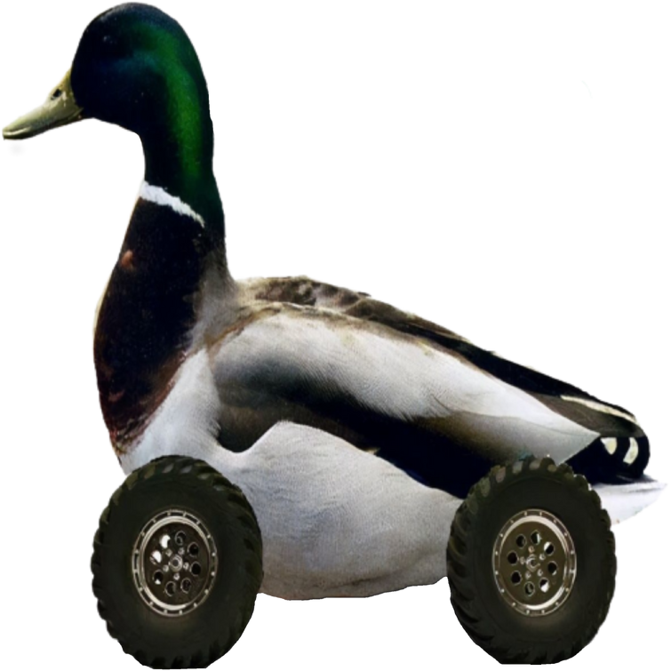 Duckroll.png