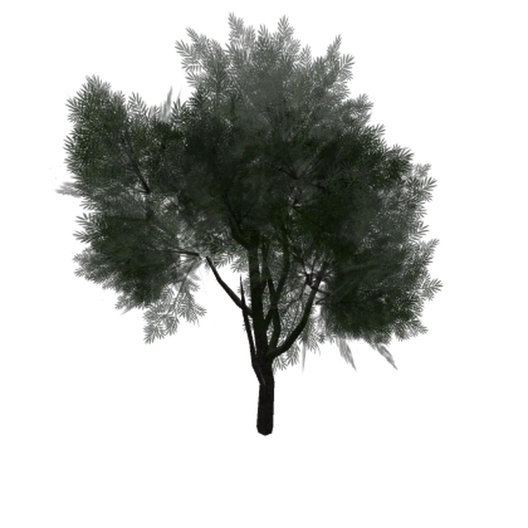 Mythical Wise Tree, Nico's FunkBot's Wiki