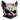 SUPA SCARE CAT!!!!!!!!!!Y