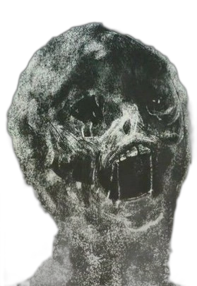 I Can See You | Nico's Nextbots Fanmade Wiki | Fandom