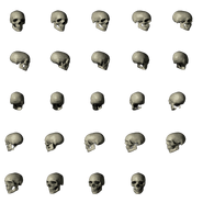 skull | Nico's Nextbots Wiki | Fandom