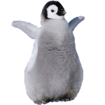 nextbots rng 🎲 | Nico's Nextbots Wiki | Fandom