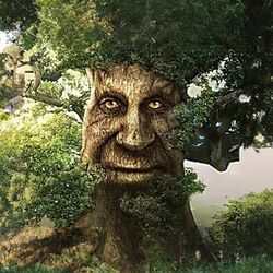 Wise Mystical Tree Face Old Mythical Oak Tree Funny Meme Tall T