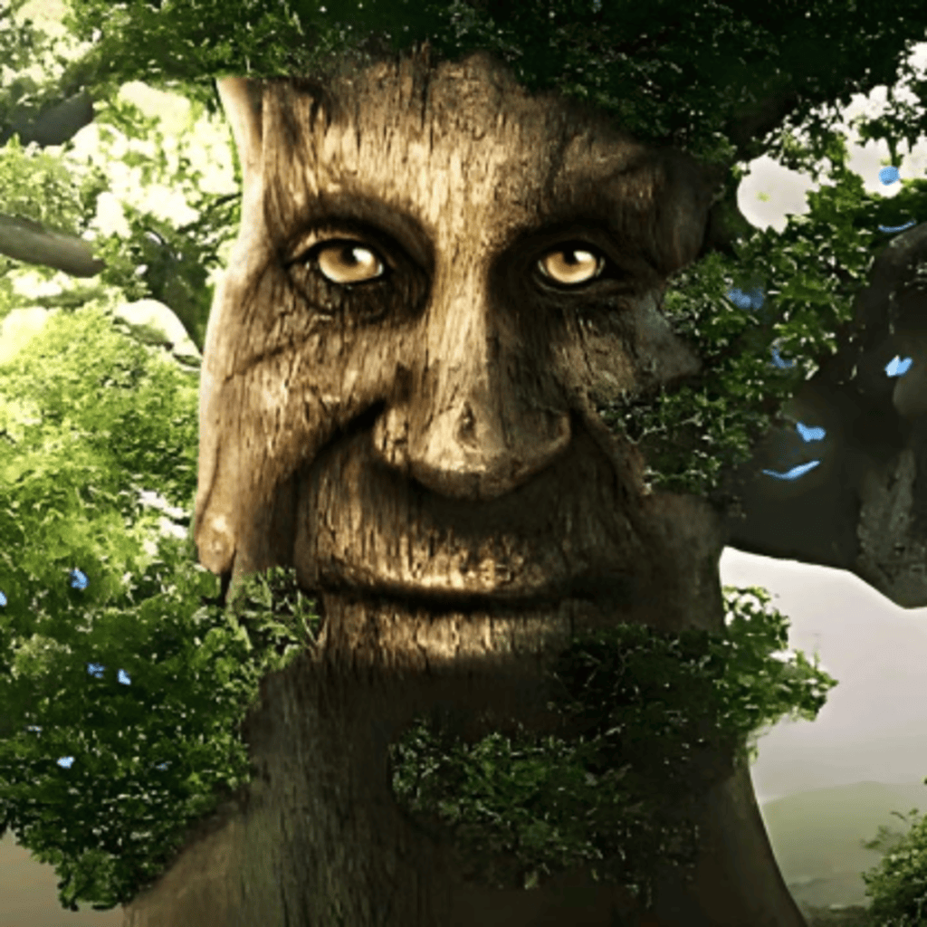 TREE FACE  Wise Mystical Tree / If You're Over 25 and Own a