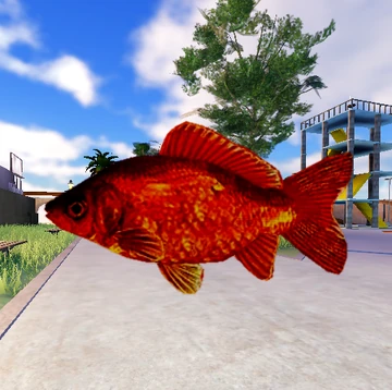 goldfish | Nico's Nextbots Wiki | Fandom