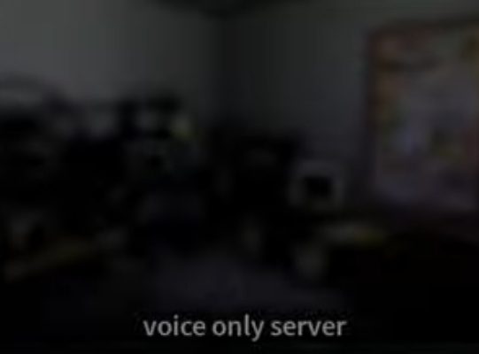 Voice chat, Roblox Wiki