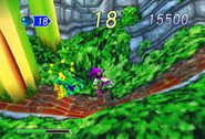 Verol in NiGHTS into Dreams.