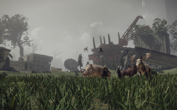 The white variants of both mounts in the .