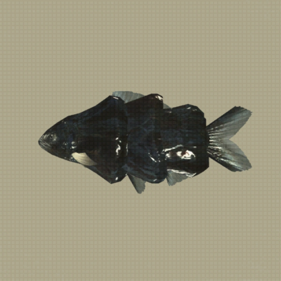 Oil Sardine NIER Wiki Fandom