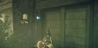Kaines Shack Entrance