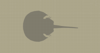 Horseshoe Crab Item