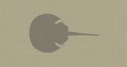 Horseshoe Crab