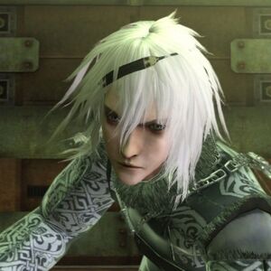 Nier Brother Nier Wiki Fandom Nier c (singular definite nieren, plural indefinite niere). nier brother nier wiki fandom