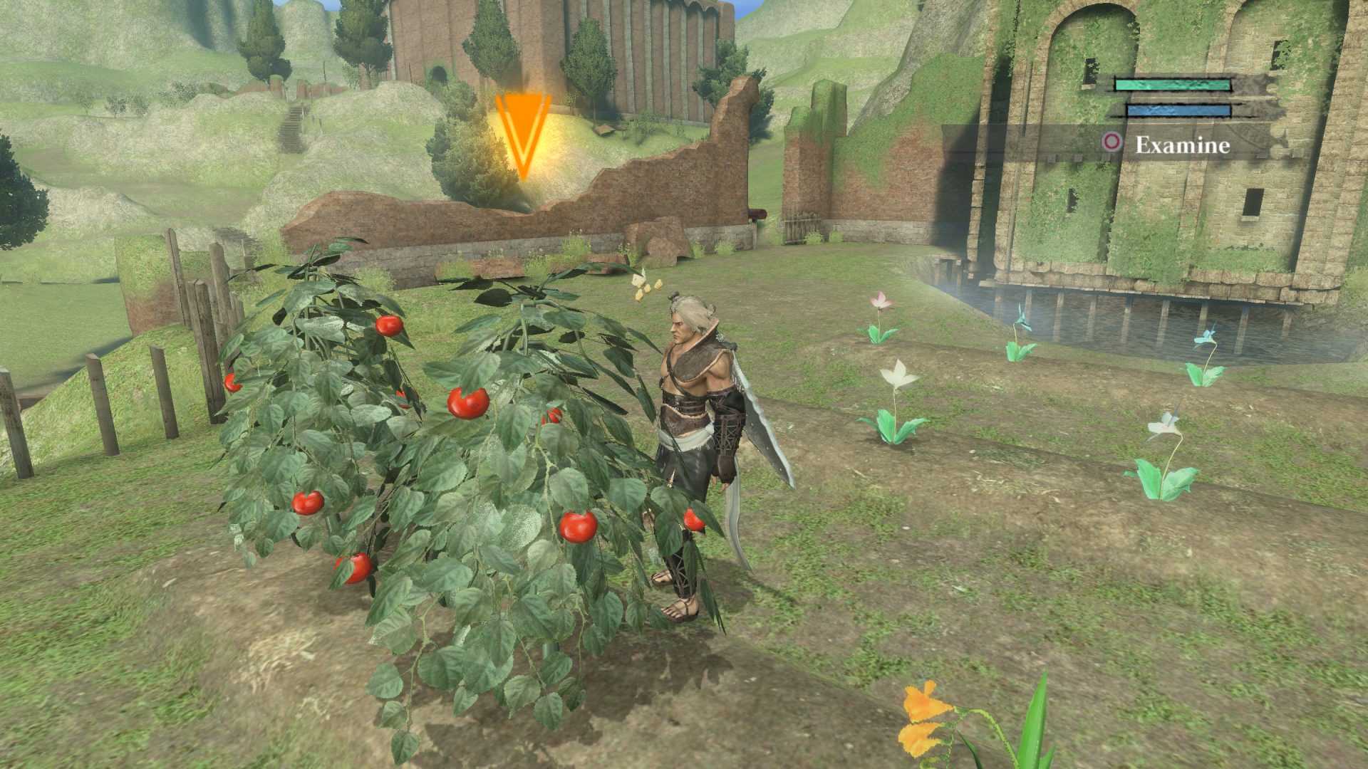 How To Time Travel In Nier Replicant To Grow Flowers