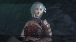 Costumes Nier Wiki Fandom