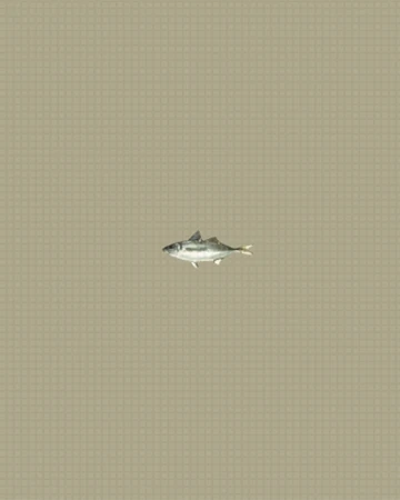 Mackerel Nier Wiki Fandom Automata, an action rpg developed by platinumgames and published by square enix, released in march 2017 for pc and ps4. mackerel nier wiki fandom