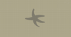 Starfish Item