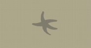 Starfish