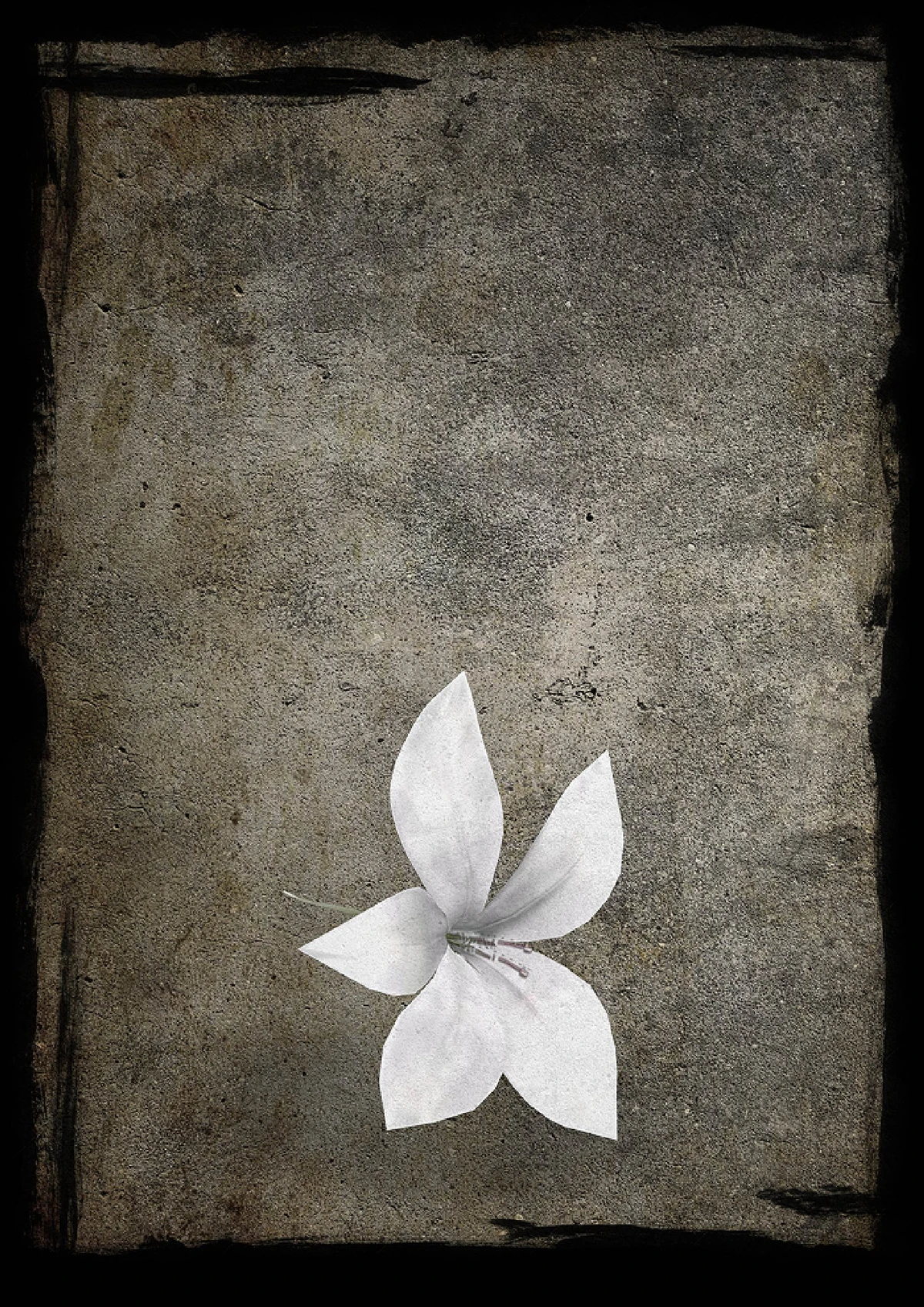 nier хронология событий