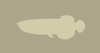 Arowana Item