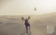 Riding a moose