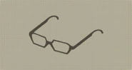 Adam's Glasses