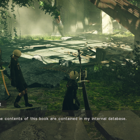 Animal Care Nier Wiki Fandom Their meat sells for lots of money. animal care nier wiki fandom