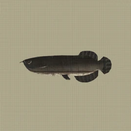 Arowana Machine Entry