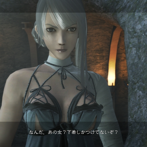 Kaine Nier Wiki Fandom In the tgs 2016 trailer, many characters of nier: kaine nier wiki fandom