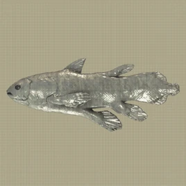 Coelacanth Entry